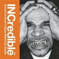 INCredible Sound of Drum'n'Bass Mixed by Goldie (Spektrum)